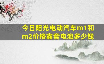 今日阳光电动汽车m1和m2价格鑫套电池多少钱