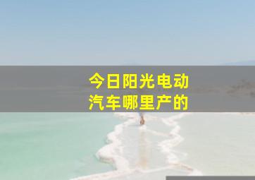 今日阳光电动汽车哪里产的