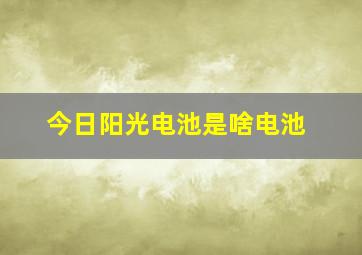 今日阳光电池是啥电池