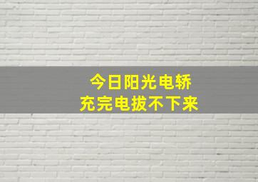 今日阳光电轿充完电拔不下来