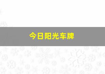 今日阳光车牌