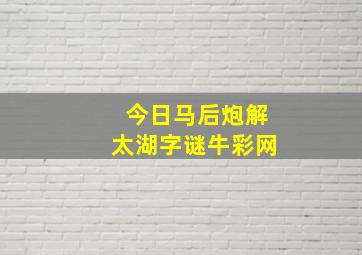 今日马后炮解太湖字谜牛彩网