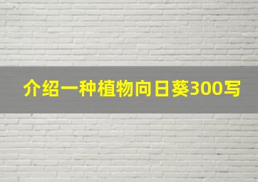 介绍一种植物向日葵300写