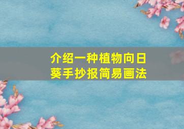 介绍一种植物向日葵手抄报简易画法