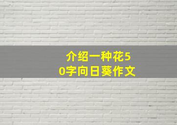 介绍一种花50字向日葵作文