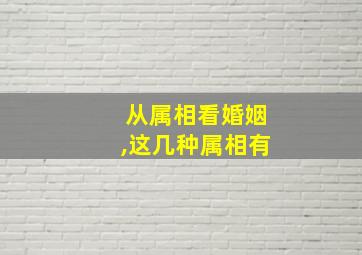 从属相看婚姻,这几种属相有