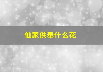 仙家供奉什么花