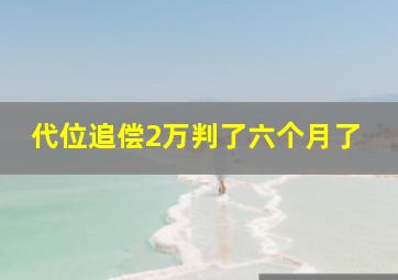 代位追偿2万判了六个月了