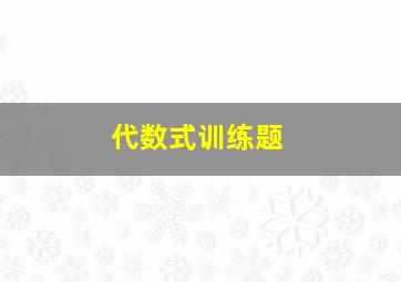 代数式训练题