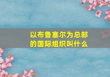 以布鲁塞尔为总部的国际组织叫什么