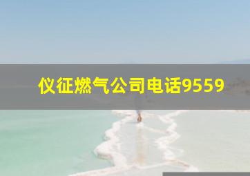 仪征燃气公司电话9559