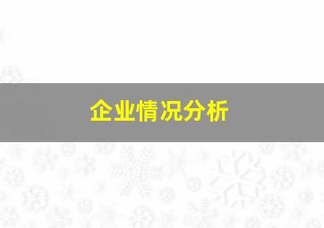 企业情况分析