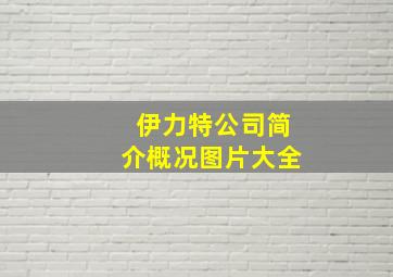 伊力特公司简介概况图片大全