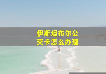 伊斯坦布尔公交卡怎么办理