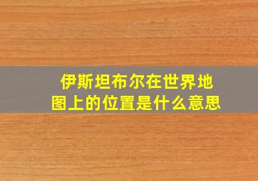 伊斯坦布尔在世界地图上的位置是什么意思