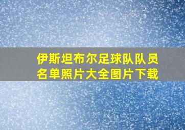 伊斯坦布尔足球队队员名单照片大全图片下载