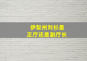 伊犁州刘杉是正厅还是副厅长