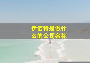 伊诺特是做什么的公司名称