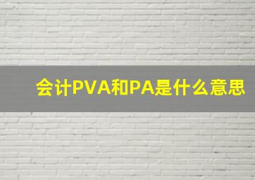 会计PVA和PA是什么意思