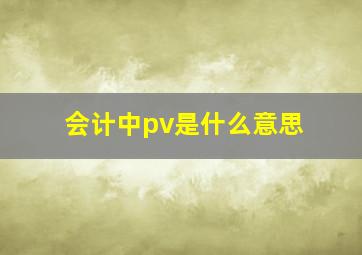 会计中pv是什么意思