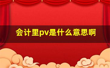 会计里pv是什么意思啊