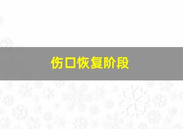 伤口恢复阶段