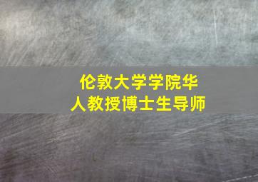 伦敦大学学院华人教授博士生导师