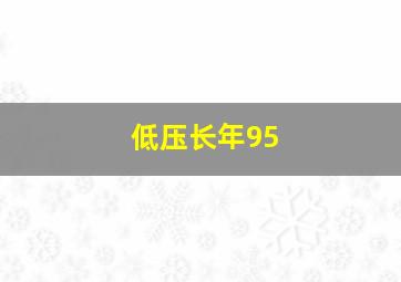 低压长年95