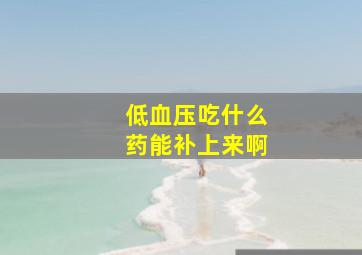 低血压吃什么药能补上来啊