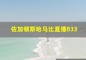 佐加顿斯哈马比直播833