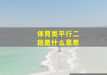 体育类平行二段是什么意思