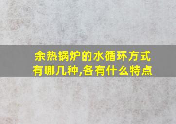 余热锅炉的水循环方式有哪几种,各有什么特点