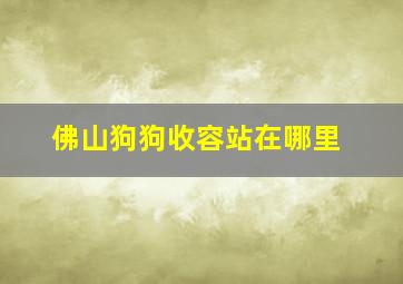 佛山狗狗收容站在哪里