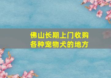 佛山长期上门收购各种宠物犬的地方