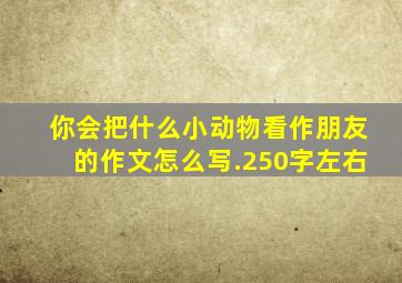 你会把什么小动物看作朋友的作文怎么写.250字左右