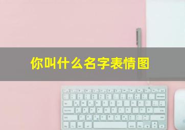 你叫什么名字表情图