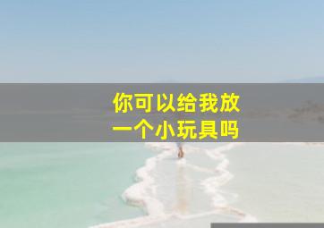 你可以给我放一个小玩具吗