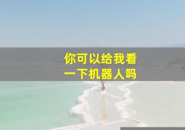 你可以给我看一下机器人吗