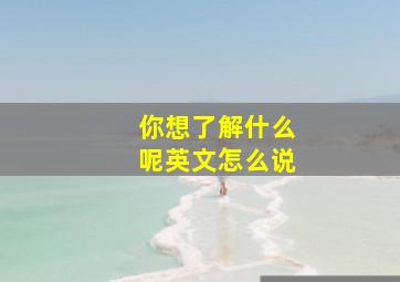 你想了解什么呢英文怎么说