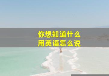 你想知道什么用英语怎么说