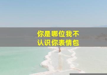 你是哪位我不认识你表情包