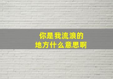 你是我流浪的地方什么意思啊