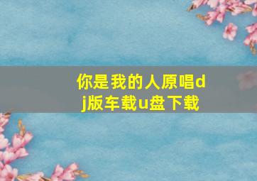 你是我的人原唱dj版车载u盘下载