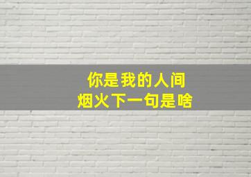 你是我的人间烟火下一句是啥