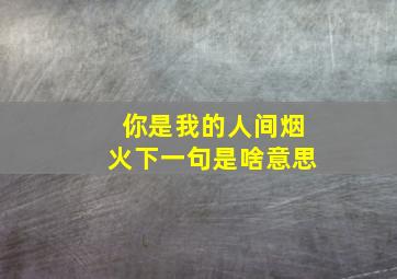 你是我的人间烟火下一句是啥意思