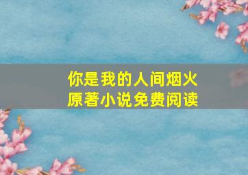 你是我的人间烟火原著小说免费阅读