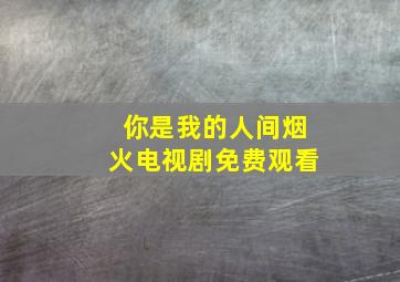 你是我的人间烟火电视剧免费观看