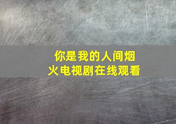 你是我的人间烟火电视剧在线观看