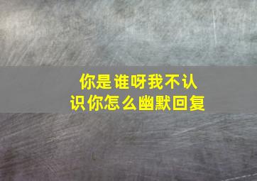 你是谁呀我不认识你怎么幽默回复