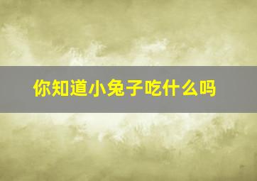 你知道小兔子吃什么吗